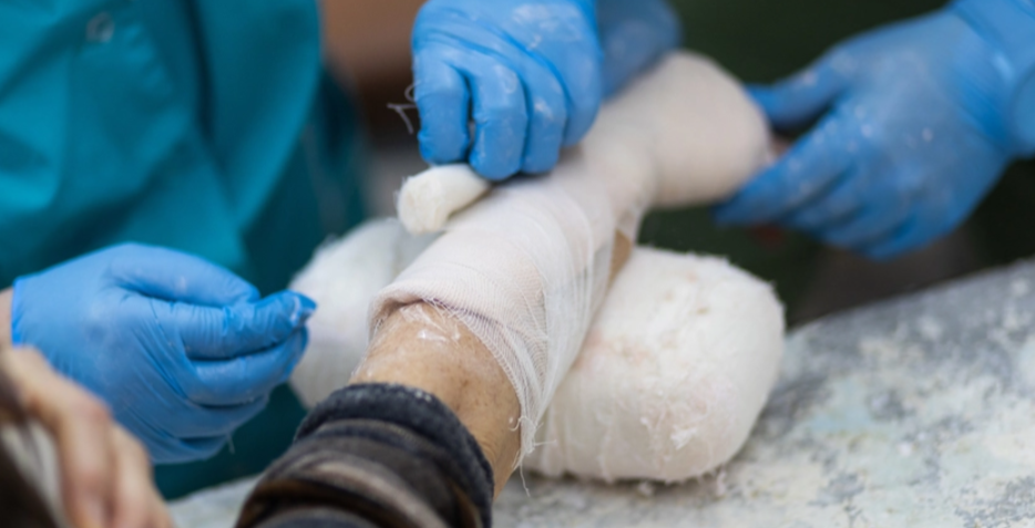 Изображение новости